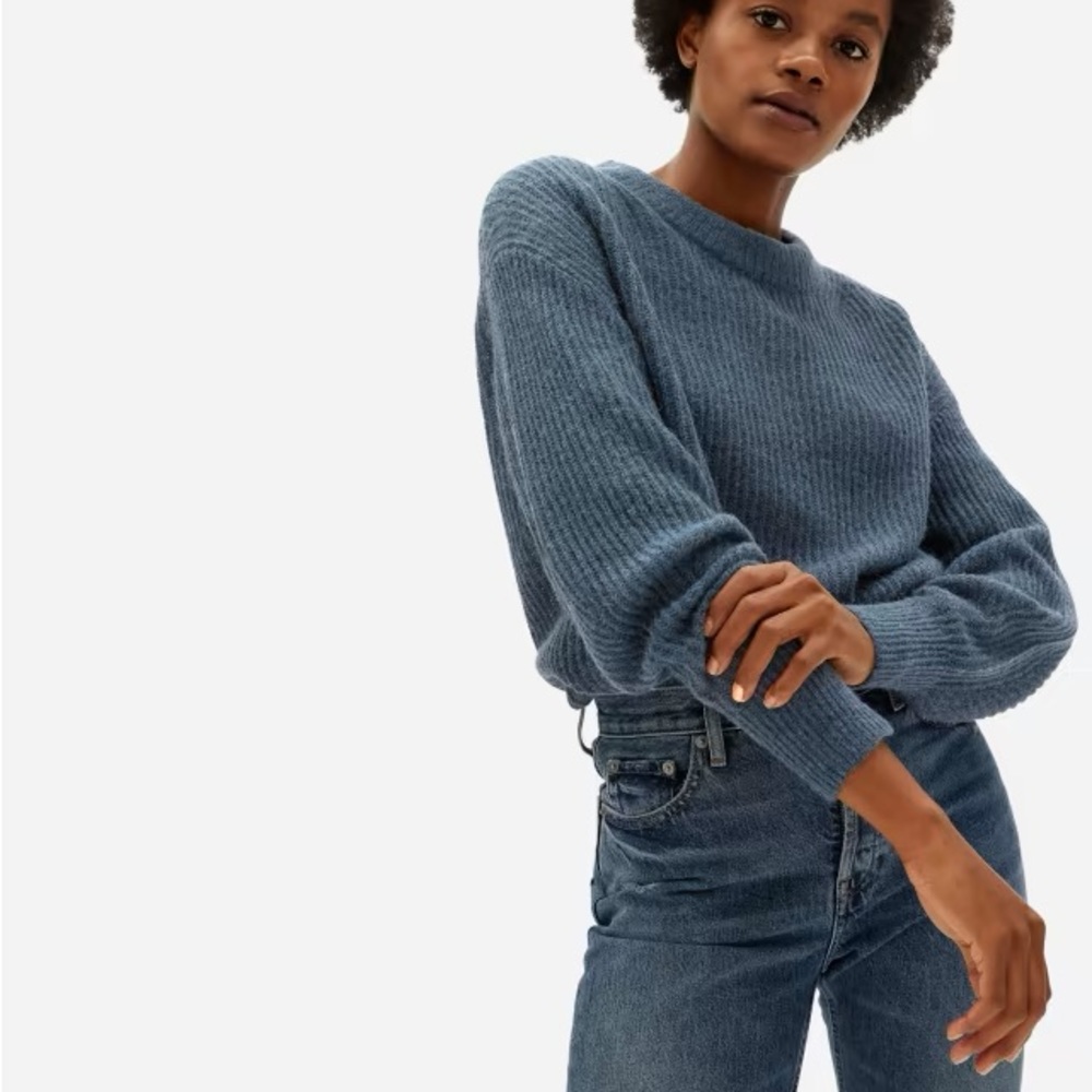 Everlane Blue Grey Heathered Fern Alpaca Crew Sweater